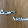 Acrylic Name Cut-Outs for Kids’ Hangers